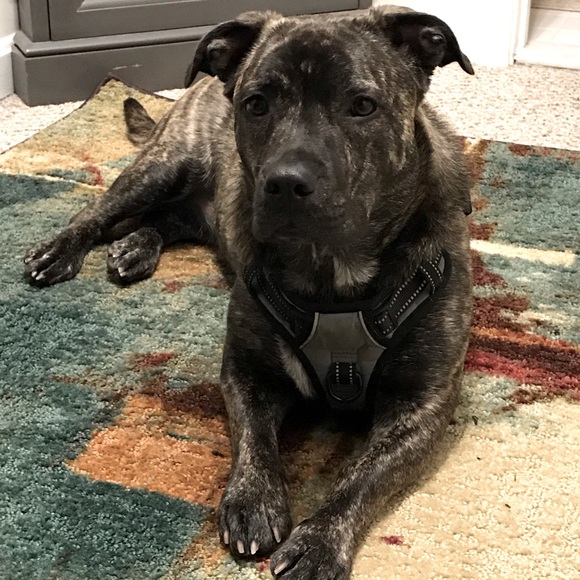 Meet your Posher, Deb - Picture 1 of 2